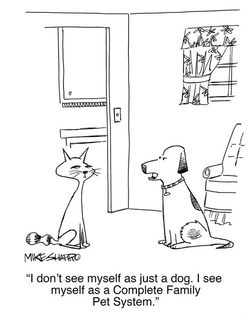 "I don't see myself as just a dog. I see myself as a Complete Family Pet System."