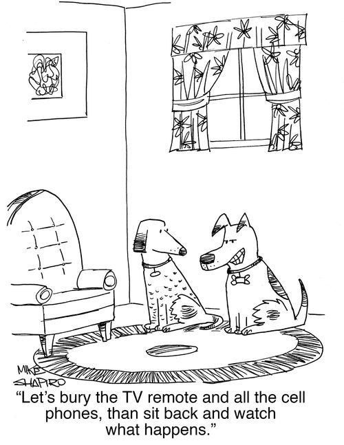 "Let's bury the TV remote and all the cell phones, then sit back and watch what happens."