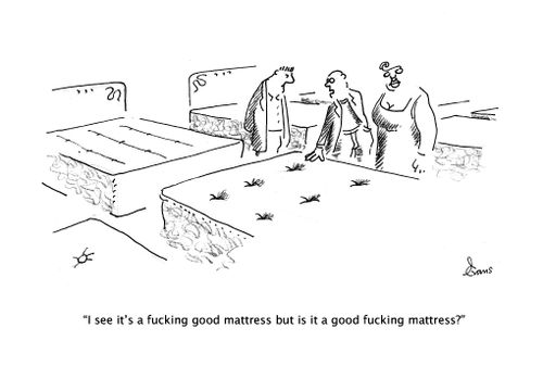"I see it's a f***ing good mattress but is it a good f***ing mattress?" 