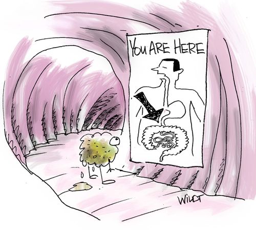 You Are Here