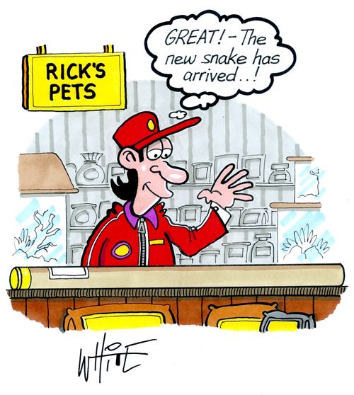 "Great!  - The new snake has arrived. . . !"