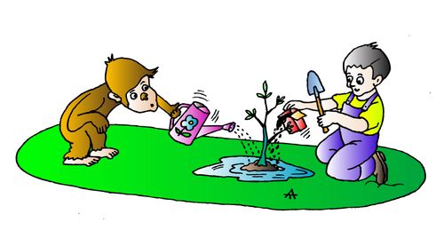 Gardening Companions