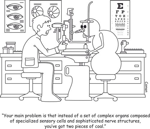 "Your main problem is that instead of a set of complex organs composed of specialized sensory cells and sophisticated nerve structures, you've got two pieces of coal."