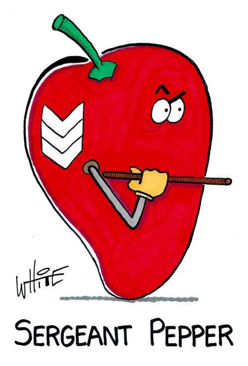 Sergeant Pepper