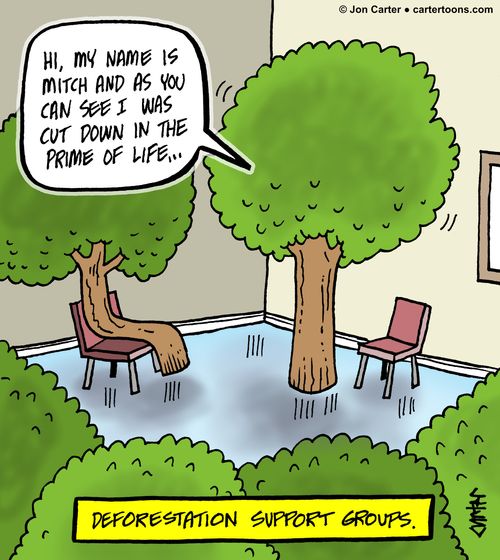 Deforestation Support Groups