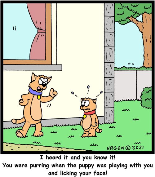 "I heard it and you know it! You were purring when the puppy was playing with you and licking your face!"