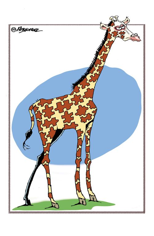 Giraffe Puzzle.