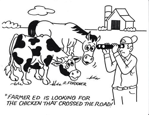 "Farmer Ed is looking for the chicken that crossed the road."