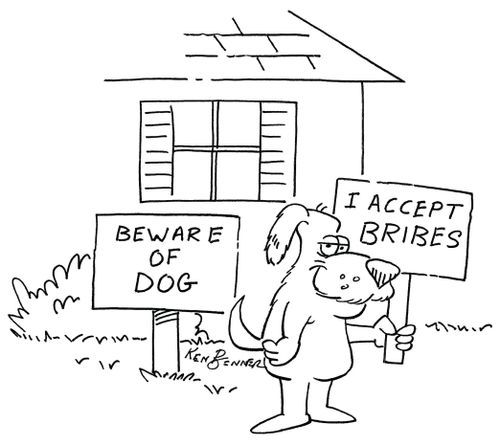 Beware of dog