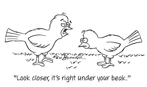 "Look closer, it's right under your beak."