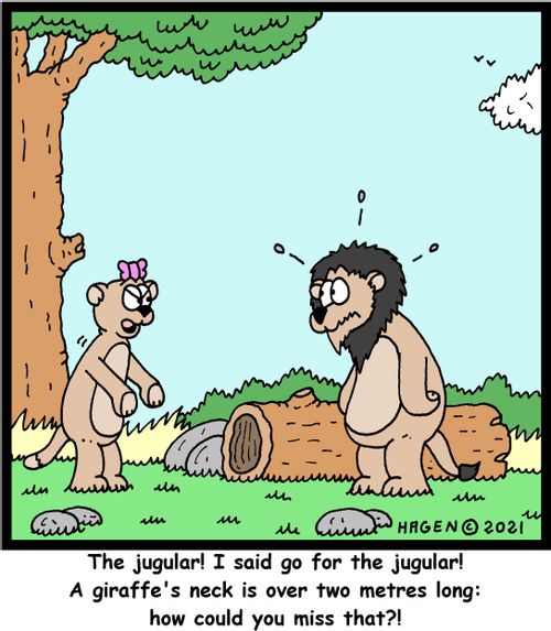 "The jugular! I said go for the jugular! A giraffe's neck is over two metres long: how could you miss that?!"