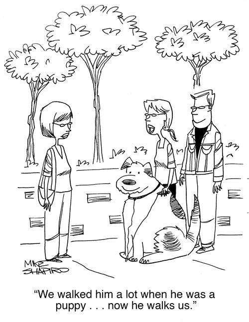 "We walked him a lot when he was a puppy. . . now he walks us."