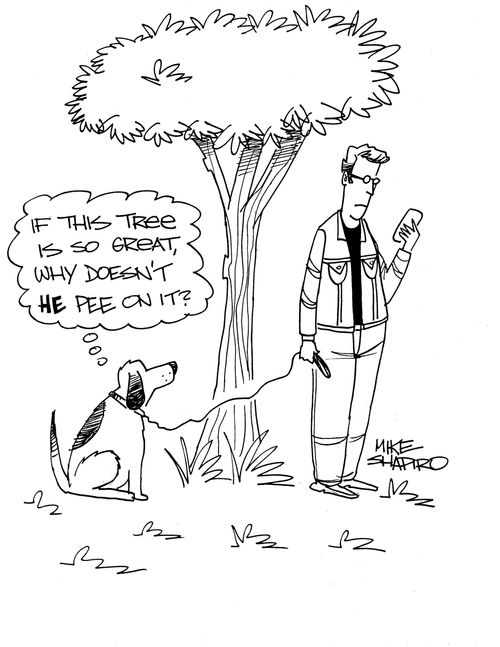 "If this tree is so great, why doesn't he pee on it."