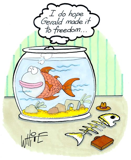 "I do hope Gerald made it to freedom. . ."