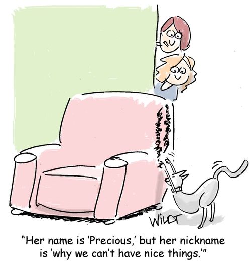 "Her name is 'Precious', but her nickname is 'why we can't have nice things.'"