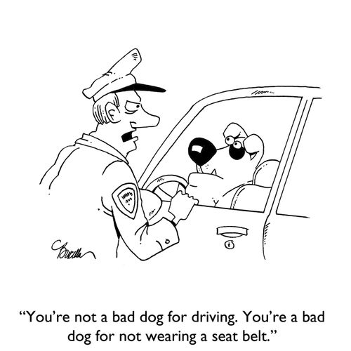 "You're not a bad dog for driving. You're a bad dog for not wearing a seat belt."