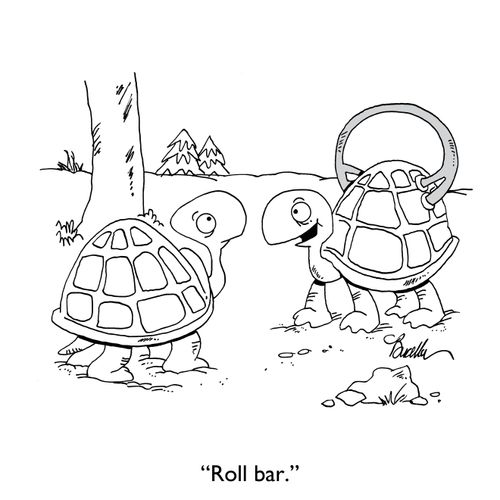 "Roll bar."