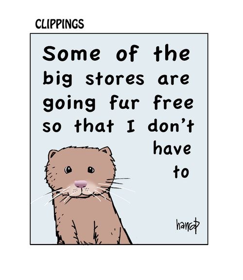 Some of the big stores are going fur free so that I don't have to.