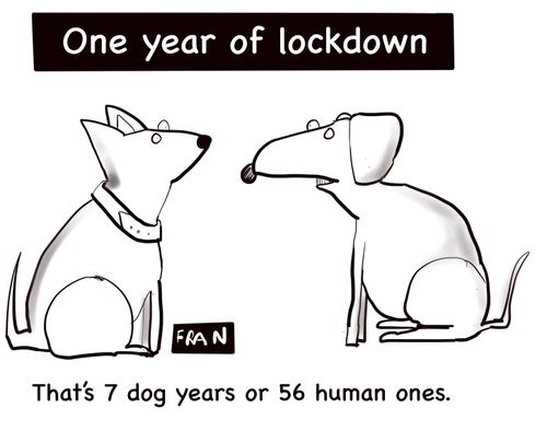 That's 7 dog years or 56 human ones.
