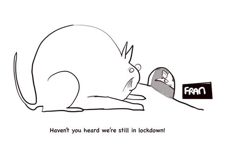 "Haven't you heard we're still in lockdown!"