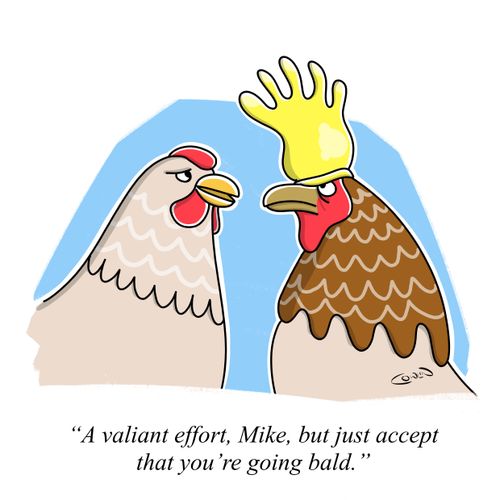 "A valiant effort, Mike, but just accept that you're going bald."