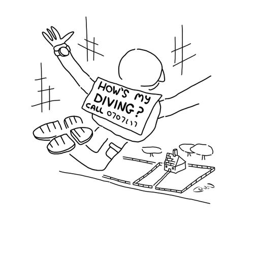 How's My Diving?