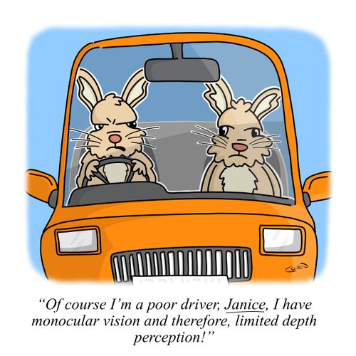 "Of course I'm a poor driver, Janice, I have monocular vision and therefore, limited depth perception!"