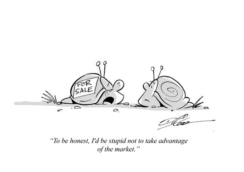 "To be honest, I'd be stupid not to take advantage of the market."