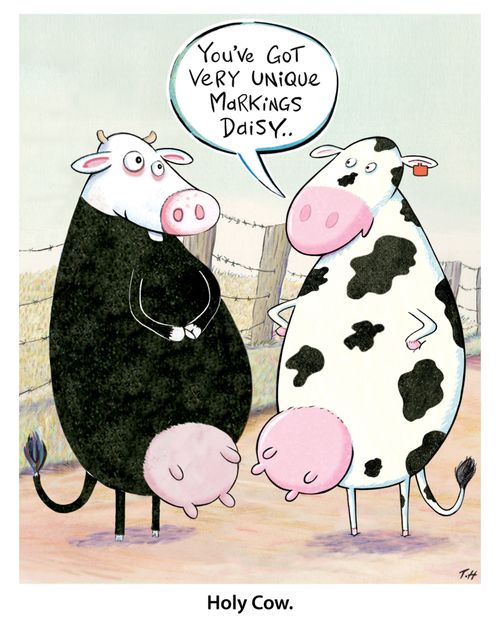 Holy Cow