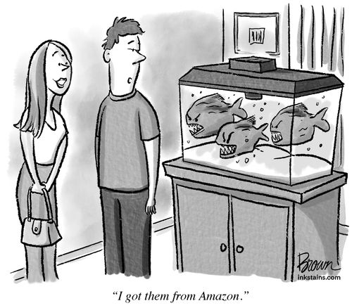 "I got them from Amazon."