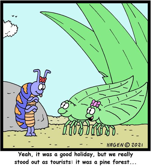 "Yeah, it was a good holiday, but we really stood out as tourists; it was a pine forest. . ."