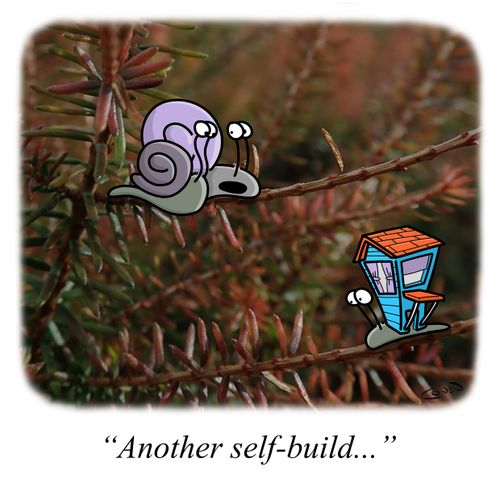 "Another self-build. . ."