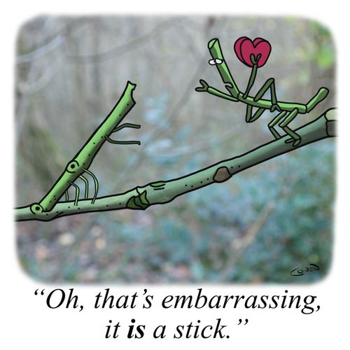 "Oh, that's embarrassing, it is a stick."