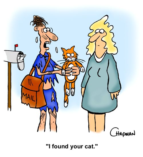 "I found your cat."