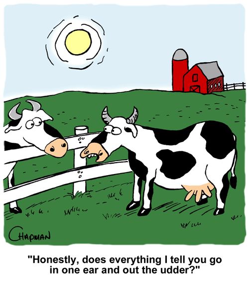 "Honestly, does everything I tell you go in one ear and out the udder?"