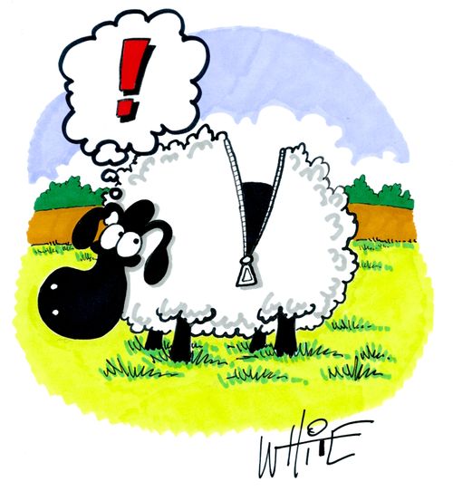 A sheep wearing a zip-up cardigan