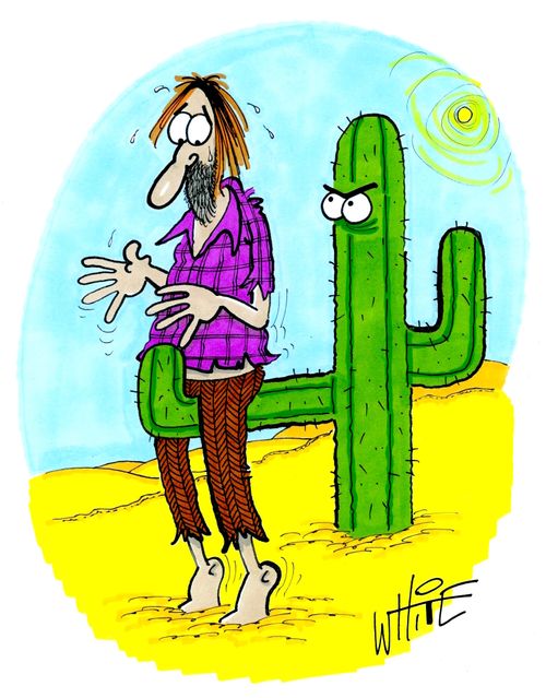 A man in a prickly situation