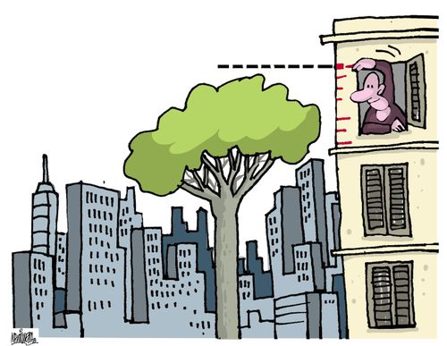 Tree in concrete jungle