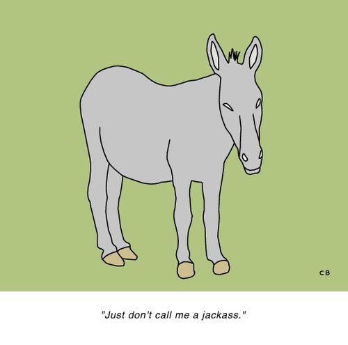"Just don't call me a jackass."