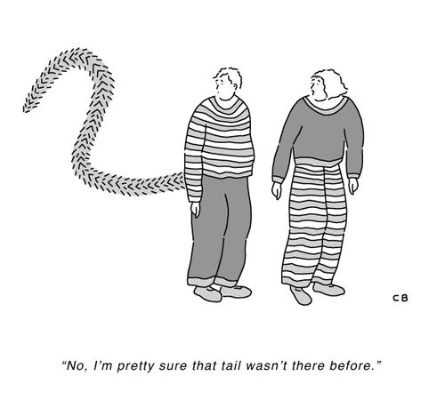 "No, I'm pretty sure that tail wasn't there before."
