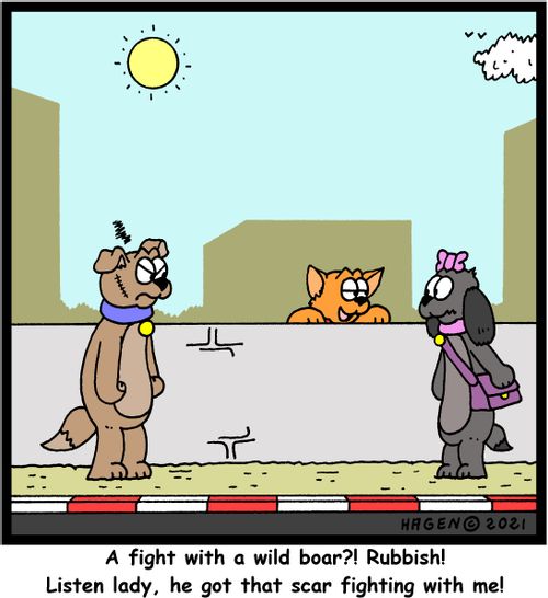 "A fight with a wild boar!? Rubbish! Listen lady, he got that scar fighting with me!"