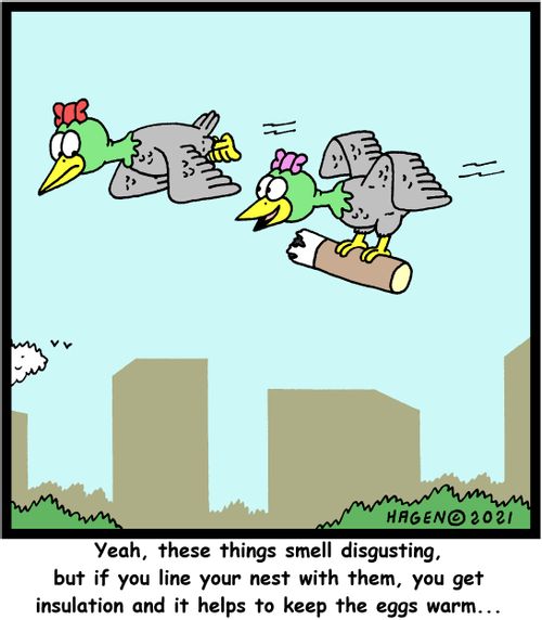 "Yeah, these things smell disgusting, but if you line your nest with them, you get insulation and it helps to keep the eggs warm..."