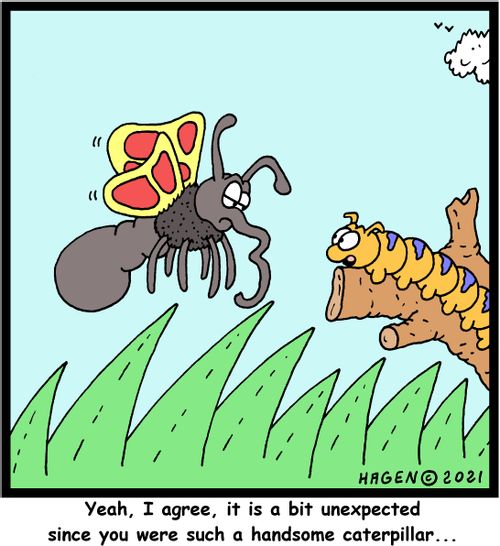 "Yeah, I agree, it is a but unexpected since you were such a handsome  caterpillar..." 