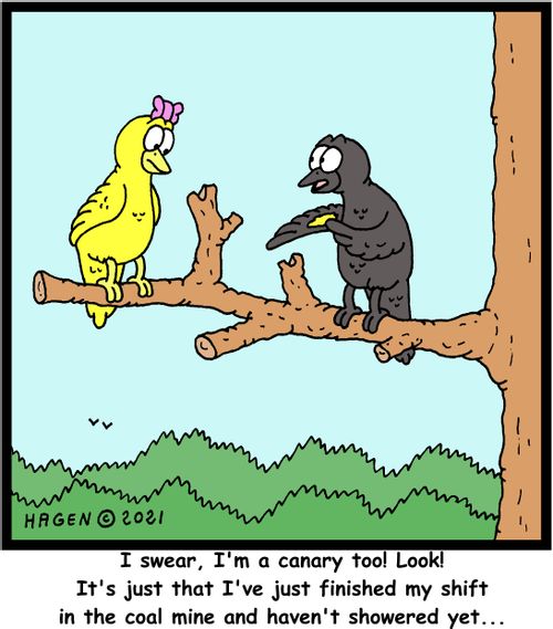 "I swear, I'm a canary too! Look! It's just that I've finished my shift in the coal mine and haven't showered yet..."