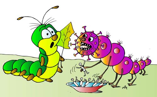 The Very Hungry Coronavirus