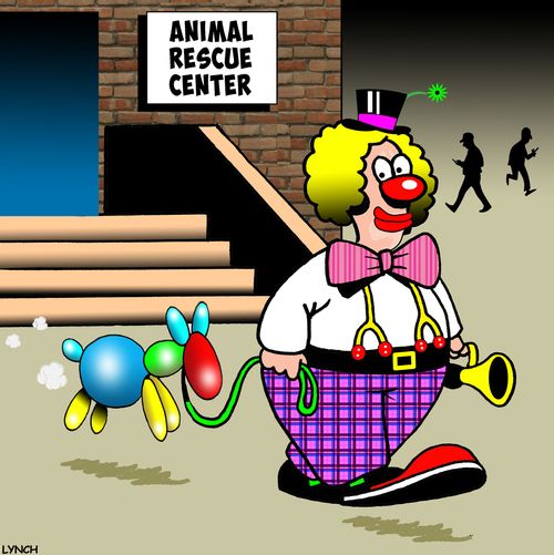 Animal rescue center