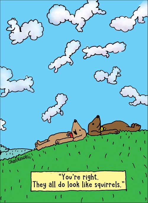 "You're right. They all do look like squirrels."