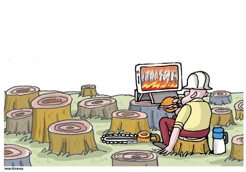Deforestation fires and global warming