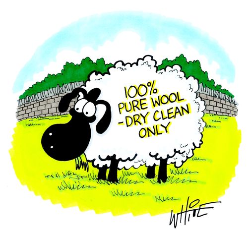 100% pure wool - dry clean only