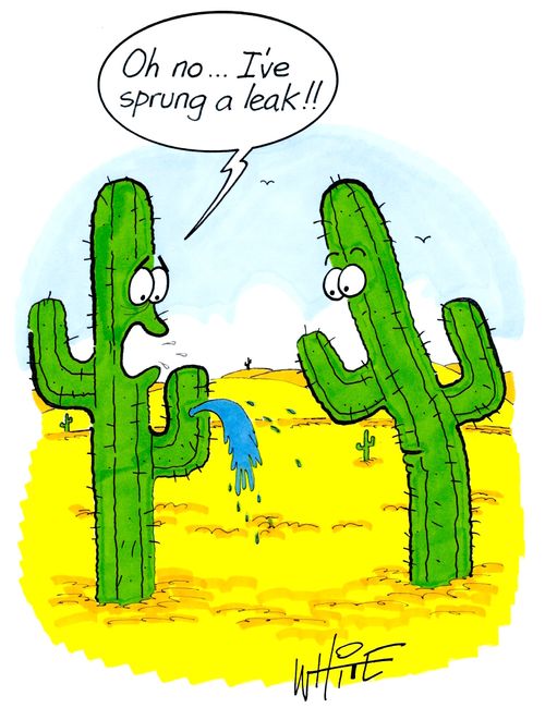 "Oh no... I've sprung a leak!!"